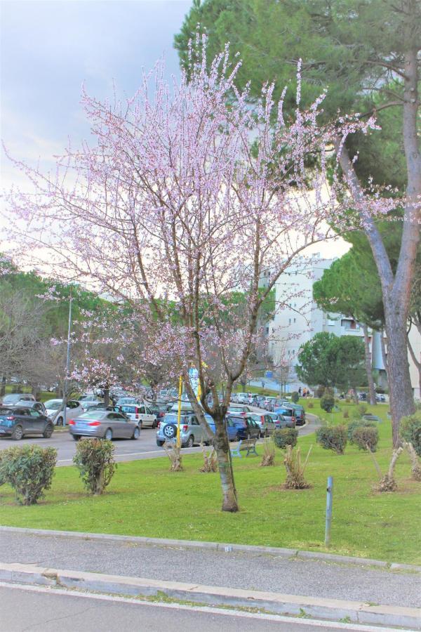Cuore Di Serpentara Apartment Ρώμη Εξωτερικό φωτογραφία